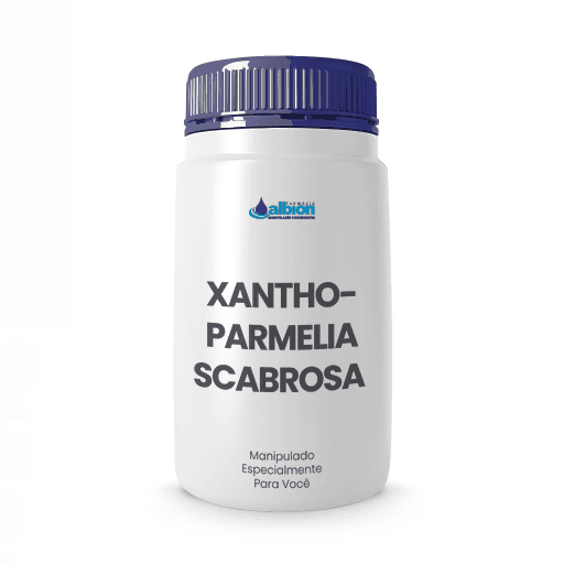 Xanthoparmelia Scabrosa